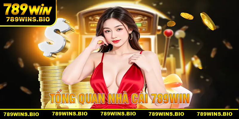 Cái nhìn tổng quan về hệ thống nhà cái 789win