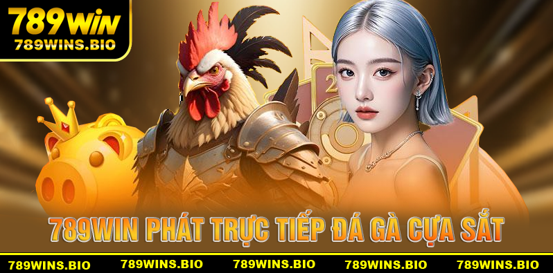 789win phát sóng trực tiếp những trận đá gà cựa sắt đỉnh cao