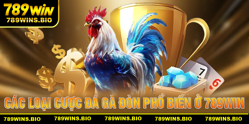 Các loại cược phổ biết trong sảnh đá gà đòn tại 789win