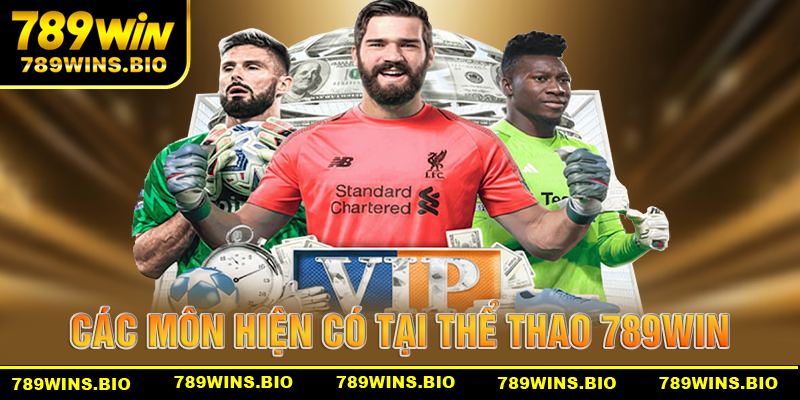 Những môn thể thao hiện co trên hệ thống thể thao 789win