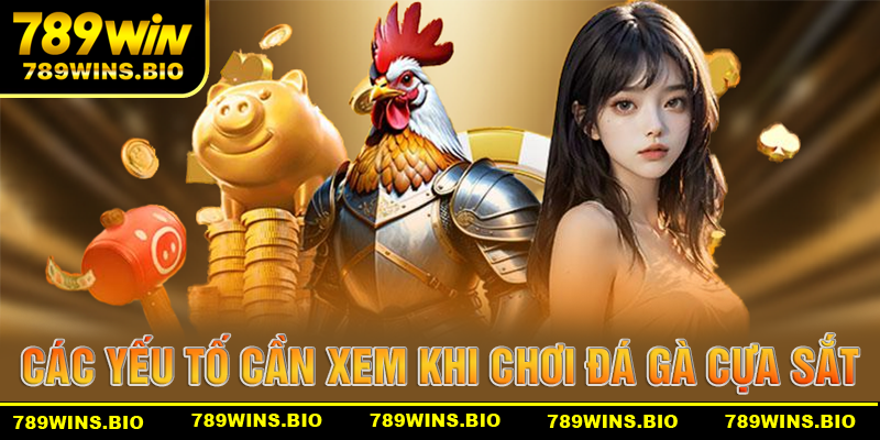 Những yếu tố cần xem sét khi chơi đá gà cựa sắt 789win