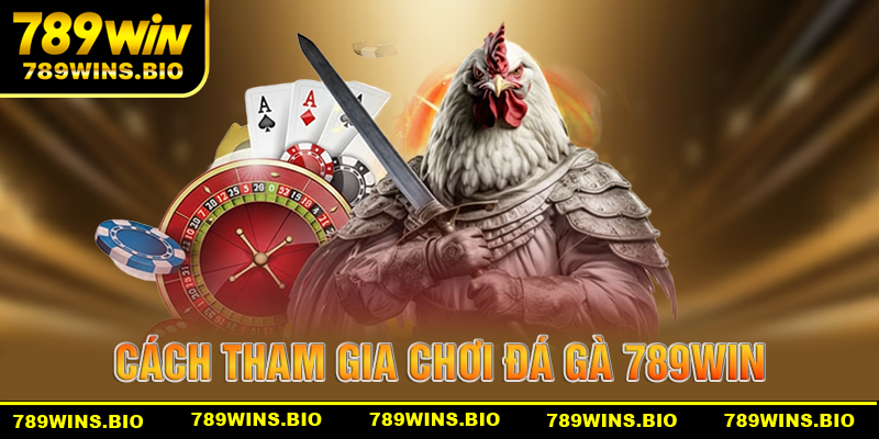 Cách tham gia chơi đá gà 789win hiệu quả nhất