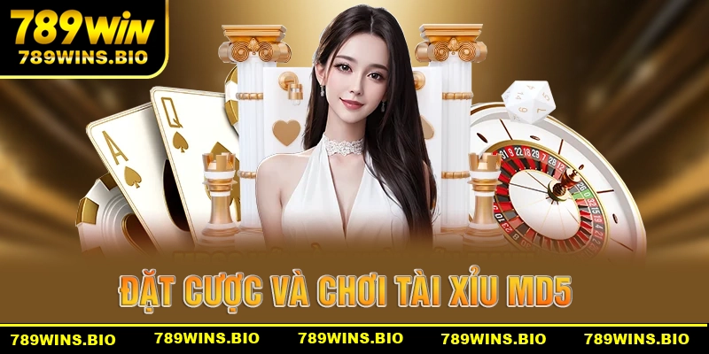 Đặt cược và theo dõi kết quả chơi tài xỉu MD5