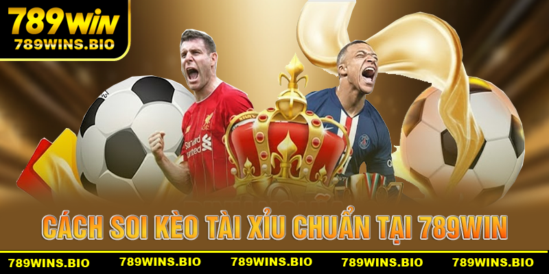 Bí quyết chơi kèo tài xỉu toàn năng nhất cho người mới tại 789win