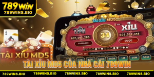 Hướng dẫn chơi game tài xỉu md5 chi tiết cho thành viên 789win