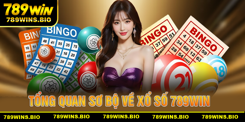 Tổng quan thông tin về xổ số 789win
